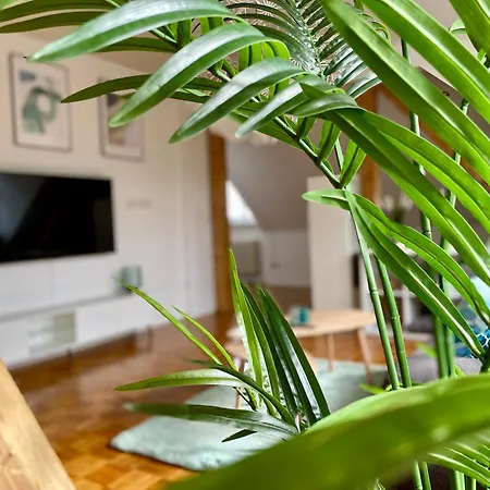 Ambiente Apartment