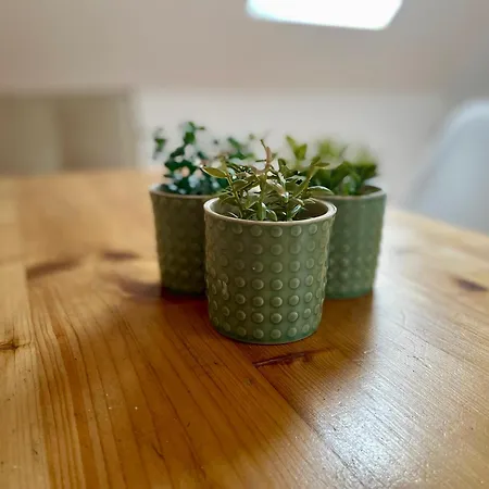 Apartment Ambiente Falkensee