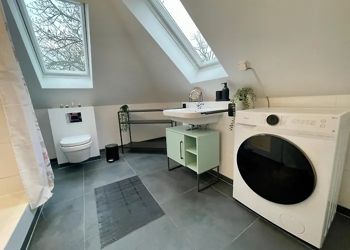 Ambiente فالكنزيه