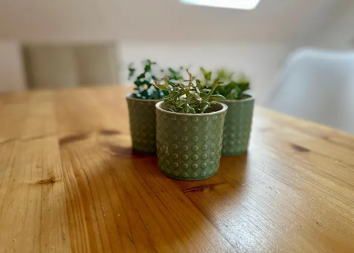 شقة Ambiente فالكنزيه